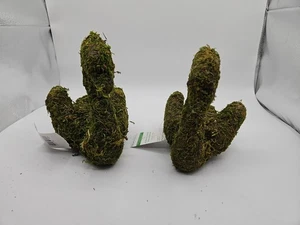 Par de cisnes de musgo Ashland 7"x8" - Imagen 1 de 5