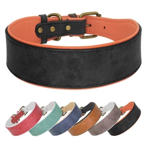 Weiches Leder gepolstertes Haustier Hundehalsband 4-5 cm breit verstellbar mittel/groß Windhund - Bild 1 von 22