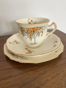 Vintage Alfred Meakin Marigold ‘Coralie’ Astoria Shape Cup, Saucer and Plate - Picture 1 of 3
