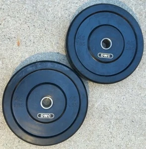 BRAND NEW DWC OLYMPIC BUMPER PLATES 45LB PAIR - COMMERCIAL QUALITY FOR CROSSFIT! - Picture 1 of 1