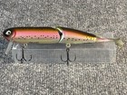 Allen Cole AC Plug 7.5” Jointed Swimbait Rainbow Trout Pattern Custom Bass Lure