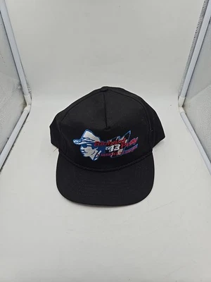Richard Petty Sombrero Snapback Gorra Negro Azul NASCAR Racing Chaqueta Camisa De Colección Foto 1 de 4