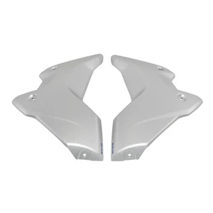Silver Radiator Side Cover Shroud Panel Fairing Cowl For BMW R1250GS 2018-2024 - Picture 1 of 11