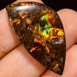 24.50Cts. Natural Play Of Multi Fire Ammolite Fancy Cabochon Loose Gemstone - Picture 1 of 2