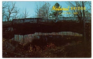 Vintage Postkarte Arkansas natürliche Brücke Clinton Arche Sandsteinformation - Bild 1 von 2