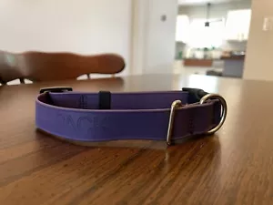PACKT Waterproof Dog Collar, Medium, Purple, Biothane - Picture 1 of 2