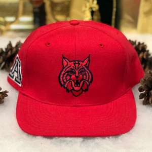 Vintage 90s NCAA Arizona Wildcats American Needle Blockhead Wool Snapback Hat - Picture 1 of 6