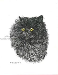 #325 LONG HAIR BLACK CAT * cat art print * pen & ink drawing by Jan Jellins - Picture 1 of 1