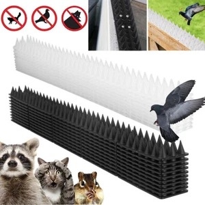 15M Plastic Bird Spikes Fences Wall Window Ledge Pigeon Deterrent Cat Anti Climb - Picture 1 of 22