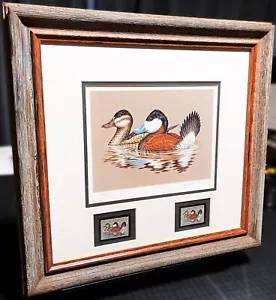 John Wilson 1981 Federal Duck Stamp Print With Double Stamps - Brand New Frame - Picture 1 of 7