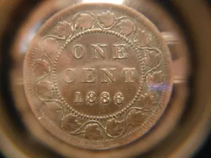 1886 Large One Cent - Obverse # 2 ***** VF - Picture 1 of 14