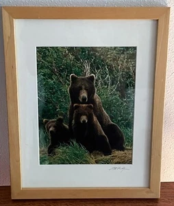 Impresión fotográfica de vida silvestre firmada por Art Wolfe/enmarcada osos 8x10 - Imagen 1 de 10