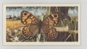 1963 Brooke Bond British Butterflies Tea Wall #2 1i3