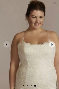 Plus size David’s bridal wedding dress brand new with tags never been worn - Picture 1 of 4