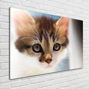 Glas-Bild Wandbilder Druck auf Glas 100x70 Deko Tiere Kleine Katze