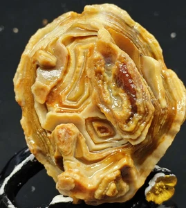 Natural Miraculous Gobi Jade Agate Weathering Stone Collection Specimens 220G - Imagen 1 de 5