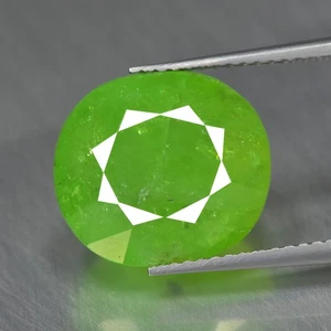 14.02Ct Oval_Word Transparent Unheated Green Grossular Mali Garnet - Picture 1 of 1
