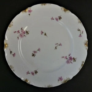 Pair Antique CFM GDM France Ch Field Haviland Limoges 8-1/4" Plates G7 - Picture 1 of 7