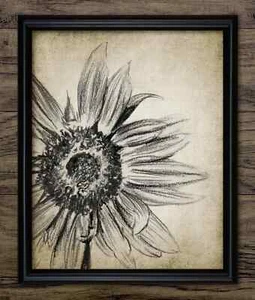 Sunflower Charcoal Drawing Print, Vintage Style Botanical Wall Art, Rustic Decor - Picture 1 of 1