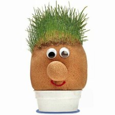 Tobar Mr Grass Head 13cm Educational Toy