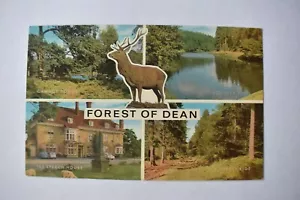 Postcard Forest Of Dean Multiview Gloucestershire Unposted J Salmon Ltd - Picture 1 of 2