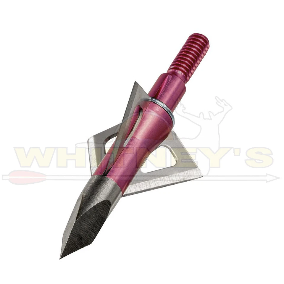 Tiro con Arco Avispa La Reina Cabezas Anchas - 100gr. - 3 hojas - 3pk - Rosa - 9610 Foto 1 de 1