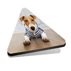 1x Triangle Fridge MDF Magnet Jack Russell Puppy Dog Clothes #51243