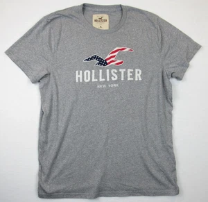 Hollister Embroidered T-Shirt Men's XL Grey USA Flag Logo New York - Picture 1 of 7
