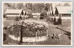 Carpa Casas Prospect Oregon O Bebé Ciervo Cervatillos RPPC Foto Real Postal - Imagen 1 de 2