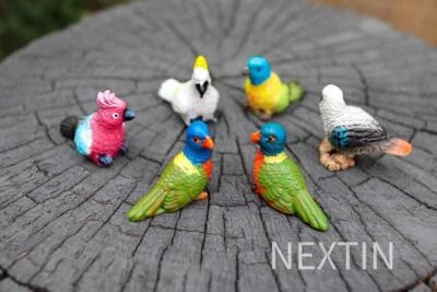 Miniature Bird Decorative Figurines Mini Rainbow lorikeet Birds Fairy Garden 6pc - image 1 of 4