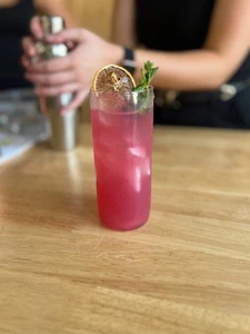 Govino Go Anywhere. Enfriadores Highball Thumb Tritan Zombie de 14 oz paquete de 4 irrompibles - Imagen 1 de 10