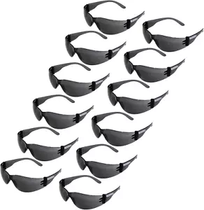 Professional Protective Safety Glasses, Polycarbonate Lenses, 12-Pack (Smoke) - Picture 1 of 12