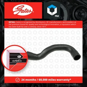Radiator Hose fits BMW 316 E36 1.6 Lower 93 to 00 Coolant Gates 11531247203 New - Picture 1 of 2
