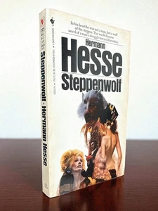 Steppenwolf - Bild 1 von 1