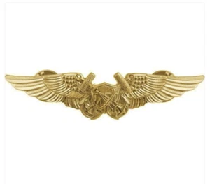 Vanguard NAVY BADGE: ASTRONAUT - REGULATION SIZE - Picture 1 of 1