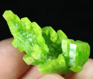 Bella PIROMORFITE verde a forma di tramoggia grappolo Cina CMM683519 - Foto 1 di 6