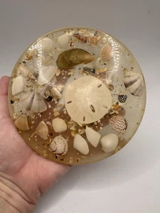 Remache Lucite vintage años 60, dólar de arena y conchas marinas - Imagen 1 de 6