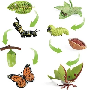 8PCS Life Cycle Figurines of Monarch Butterfly and Actias Ningpoana,... - Picture 1 of 7