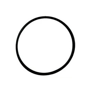 NEU ORIGINAL OEM HYDROGETRIEBE 55204 ORING O-RING 137 2,05 X 0,099 QUADRATISCH - Bild 1 von 1