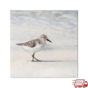 Sandpiper Bird Canvas Art Print Ready to Hang Coastal Wall Decor by Denise Brown - Picture 1 of 8