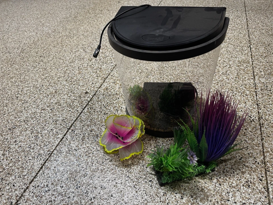 2 Gallon Fish Tank With Filter And Decorations ￼ - Image 1 of 1