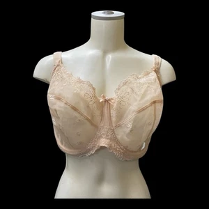 Panache Superbra Ariza 5051 Sz UK 38H Nude lace Sheer Underwire - Picture 1 of 8