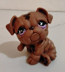 Authentische Littlest Pet Shop LPS BULLDOGGE #881 braun mit lila tropfenförmigen Augen - Bild 1 von 4