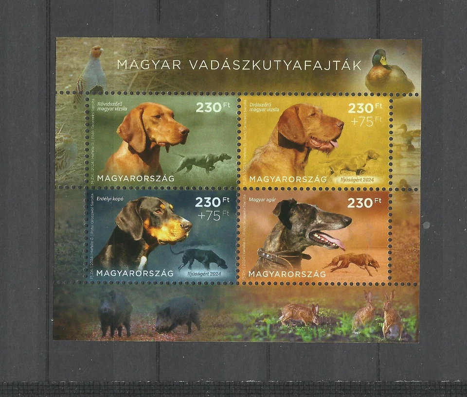 U 1420.Hungary 2024.Hungarian Hunting Dog Breeds MNH - Image 1 of 1