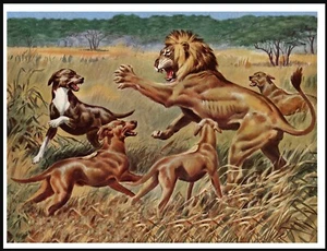 RHODESIAN RIDGEBACK DOGS AND FIGHTING LION VINTAGE STYLE DOG ART PRINT POSTER - Picture 1 of 1