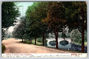 Antique Postcard c.1909 Forest Lawn Cemetery Showing Bridge Buffalo NY Stamp - Picture 1 of 5