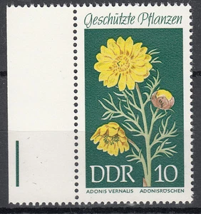 DDR 1969 Mi. Nr. 1457 mit Rand Postfrisch (25913) - Bild 1 von 1