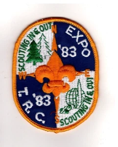 Two Rivers Council Illinois, 1983 Scouting In & Out Expo Patch - Picture 1 of 1
