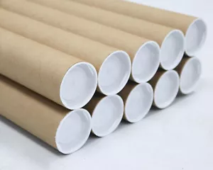 Tubos de correo con tapas, 2 pulgadas x 12 pulgadas (paquete de 10) | MagicWater Supply - Imagen 1 de 8