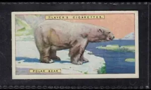 OSO POLAR - 95 + Tarjeta de tabaco inglés de 95 años # 7 - Imagen 1 de 2